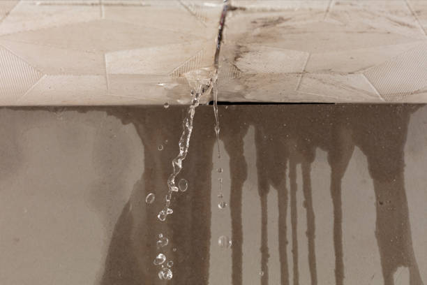 Professional Burst Pipe Cleanup technician working in Usk, WA